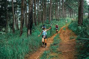 BIB: 
                            <button type="button" onclick="openModal(25652983)" class="btn btn-primary btn-sm float-right btn-popup" data-toggle="modal" data-target=".modal-high-quality">
                        <i class="fas fa-shopping-cart"></i> Add to Cart
                    </button>
                                            <button type="button" onclick="isThisMe(25652983, true)" class="btn btn-success btn-sm float-right btn-popup btn-isme hidden" data-toggle="tooltip" data-placement="bottom" title="นี่คือรูปของคุณใช่ไหม คลิกที่นี่เพื่อเอาเข้าอัลบั้ม">
                        <i class="fas fa-plus"></i> Add to album
                    </button>
                    <button type="button" onclick="isThisMe(25652983, false)" class="btn btn-warning btn-sm float-right btn-popup btn-isnotme hidden">
                        <i class="fas fa-ban"></i> Remove from album
                    </button>